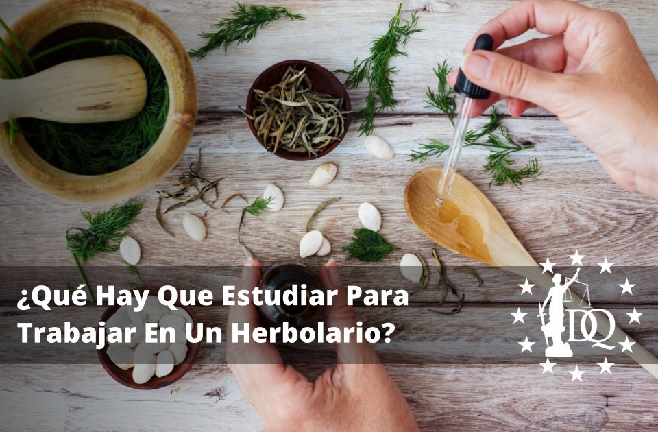 Qué Hay Que Estudiar Para Trabajar En Un Herbolario